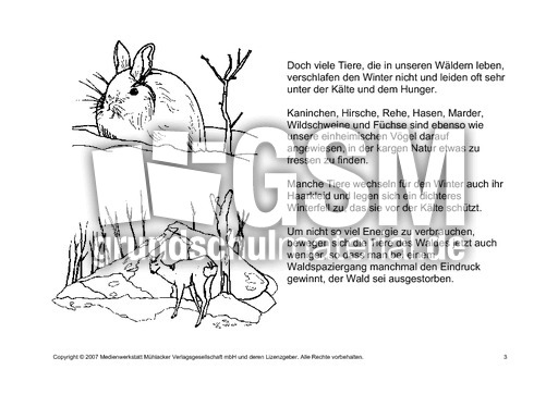 Fehlerlesen-Tiere-im-Winter-Lesetext-3.pdf